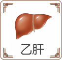 乙肝